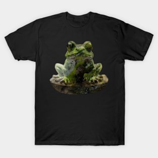 Cool stream froggy T-Shirt